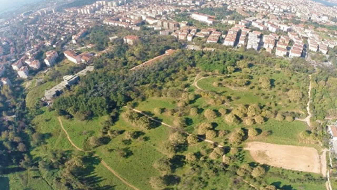 Validebağ Korusu Projesi için yürütmeyi durdurma kararı