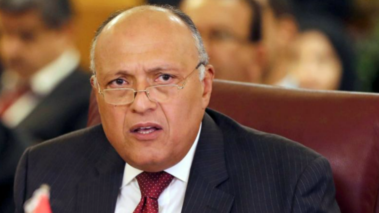 Mısır Dışişleri Bakanı: Türkiye'yi kastediyorum! Libya'da yetkilerini aştılar!