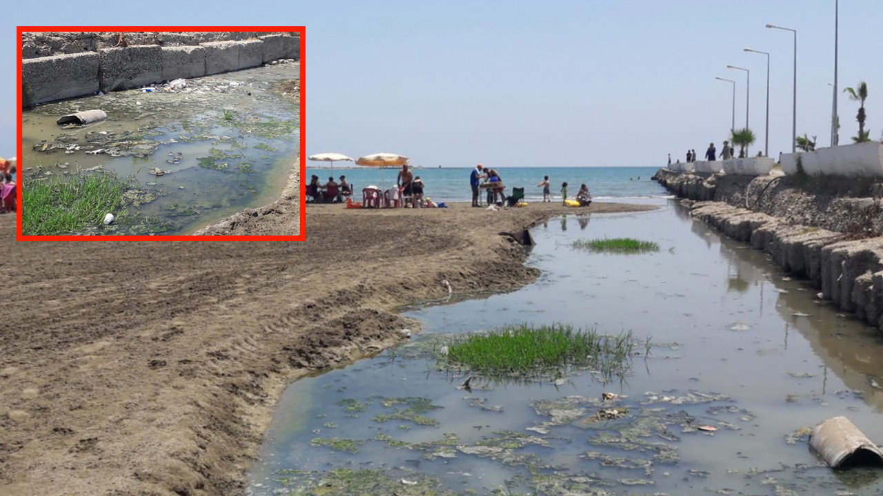 Adana Karataş'ta korkutan görüntü! Kanalizasyon denize akıyor