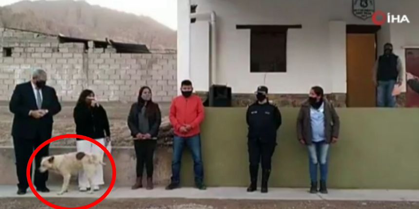 Canlı yayında şok! Konuşma yapan belediye başkanının üzerine köpek işedi