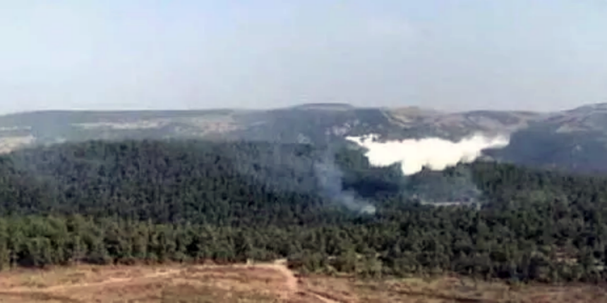 Bergama'da ormanlık alanda yangın çıktı! Müdahale sürüyor!