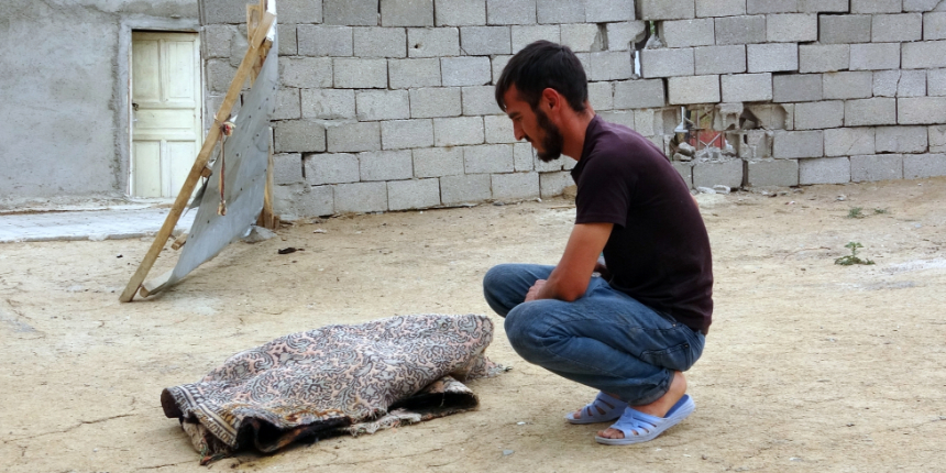 Hayat felç oldu: Mahalleyi pireler ve bitler bastı! Sebebi bilinmiyor!