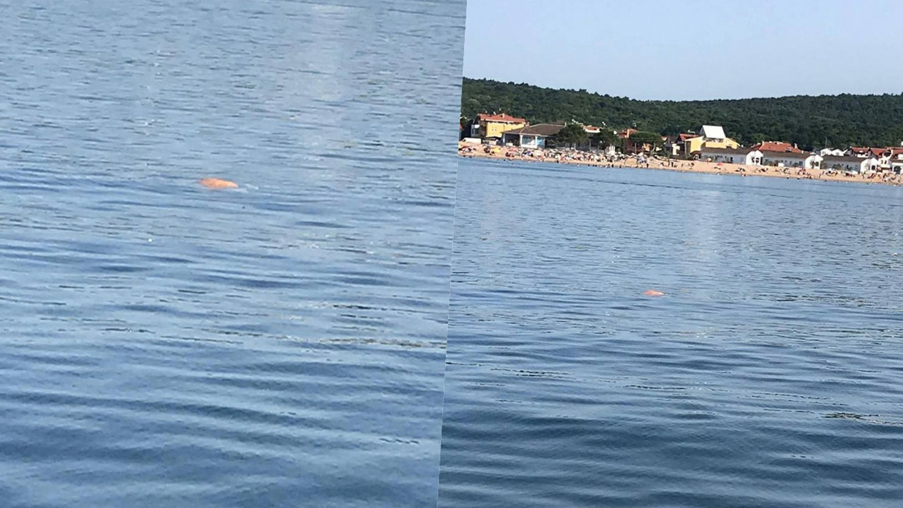 Kocaeli'de korkunç olay! Denizde ceset bulundu