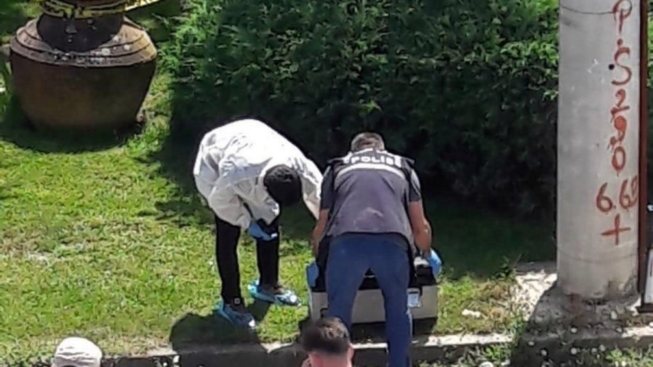 Cesetleri köpek bulmuştu! Korkunç cinayetlerin sırrı göğüs silikonlarıyla çözülecek!
