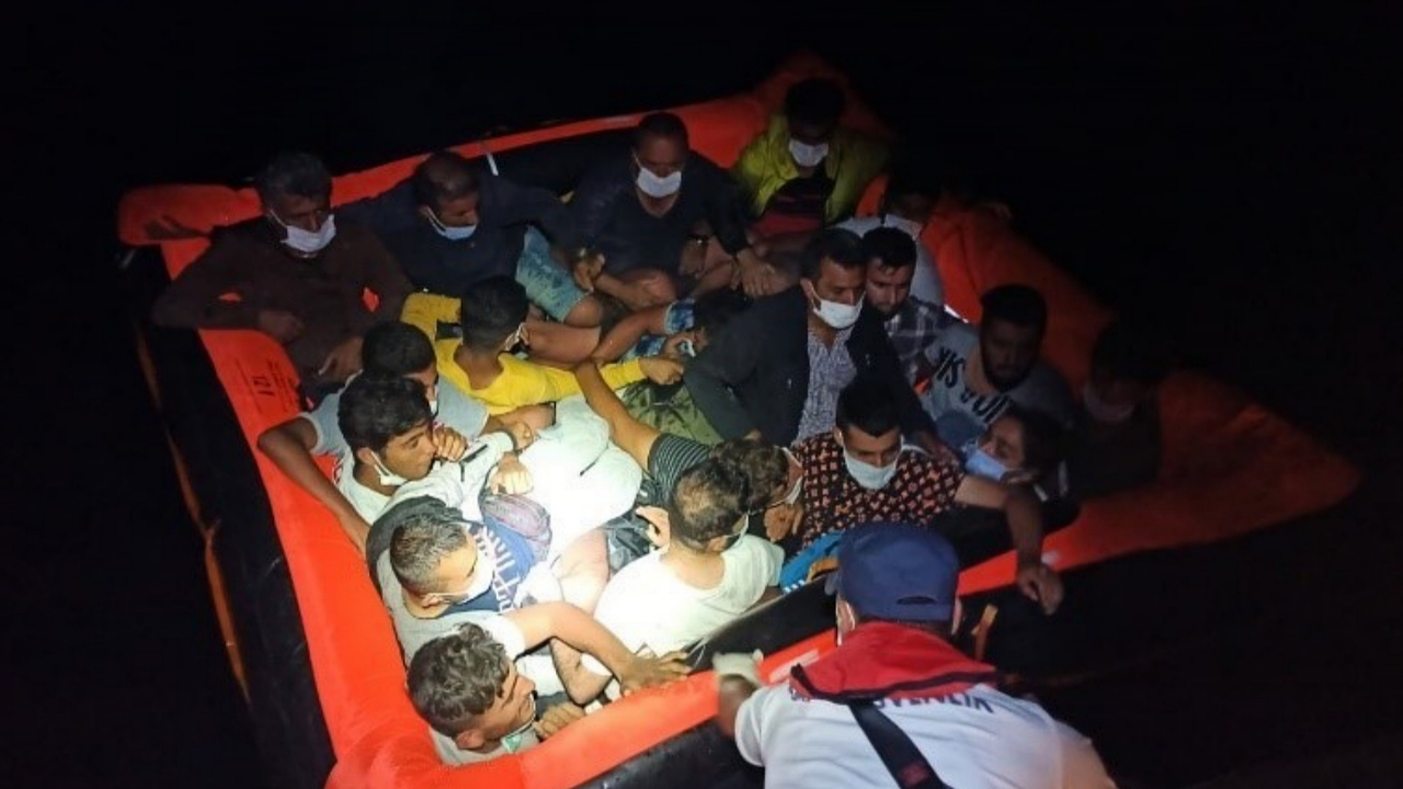 Bodrum'da balık istifi can pazarı!