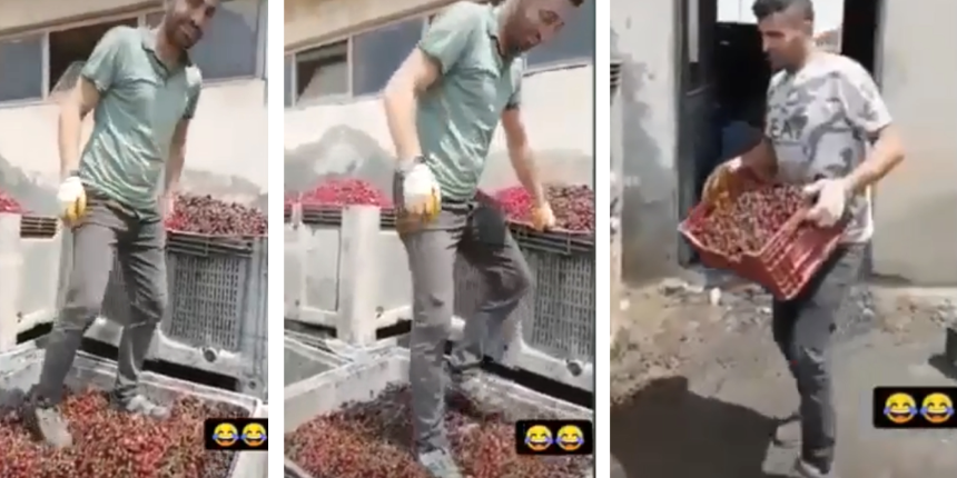 Mide bulandıran görüntüye ceza! Vişneleri ayakkabıları ile çiğnemişti