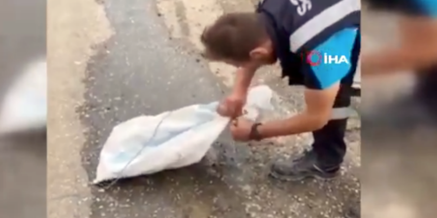 Ekipler çuvalın kıpırdadığını fark etti: Gözlerine inanamadılar!