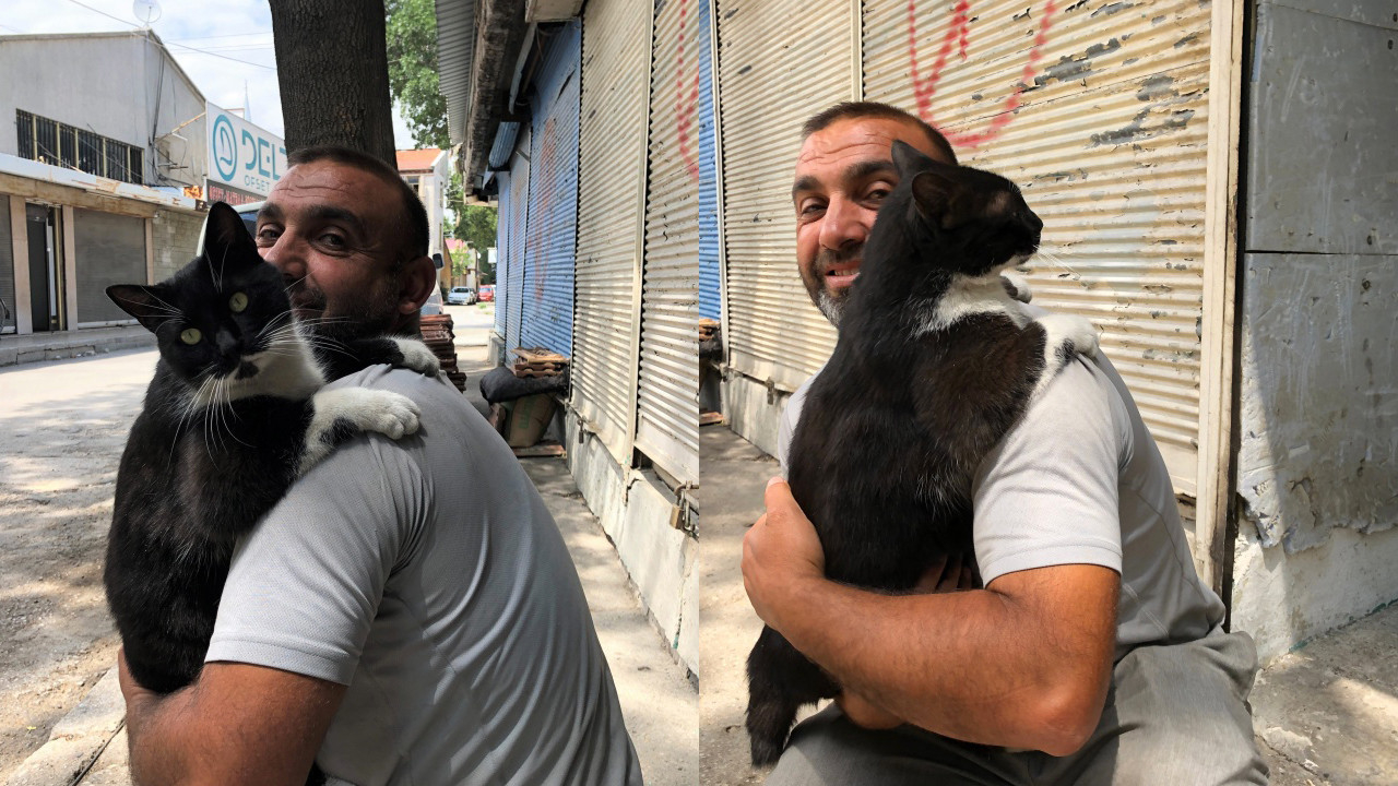 Konya'da 'Kara' isimli kedi her sabah sahibini kapıda karşılayarak kucaklıyor