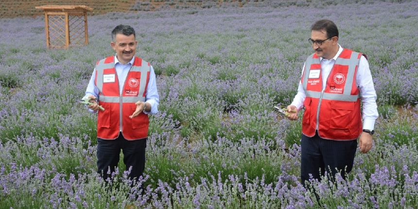 Bakanların gülümseten diyaloğu! Lavanta hasadına reklam arası