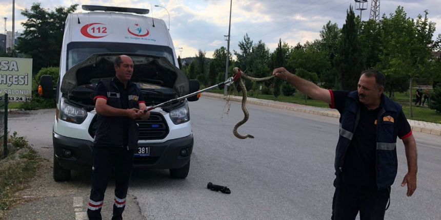 Ambulanstan çıkanı görenler şaştı kaldı!