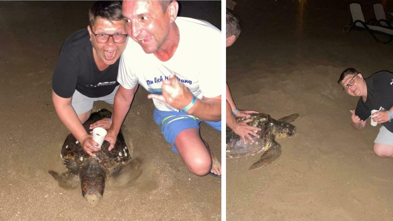 Caretta carettaya eziyet eden turistler ülkelerine kaçtı