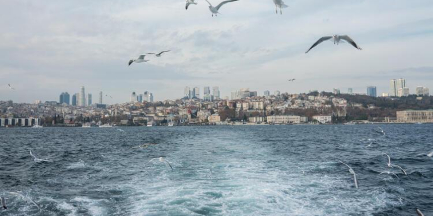 Müsilaj gitti, balıklar geri geldi