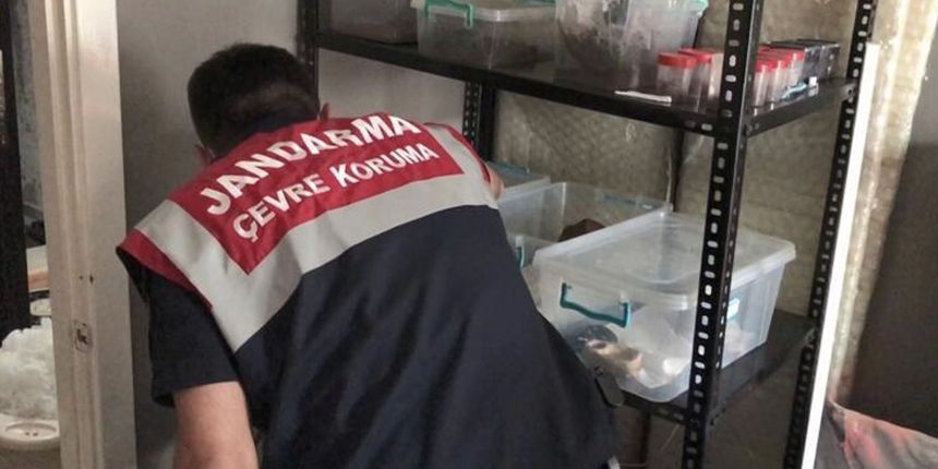 İstanbul'da jandarmayı şaşkına çeviren operasyon: Böylesi görülmedi