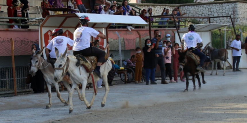 Eşeğe ters binme yarışı ve en güzel gözlü eşek yarışması düzenlendi!
