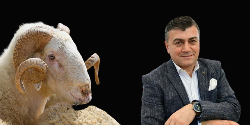 SuperHaber kurban pazarında! Bir yanda kavga, diğer yanda dertli besiciler...