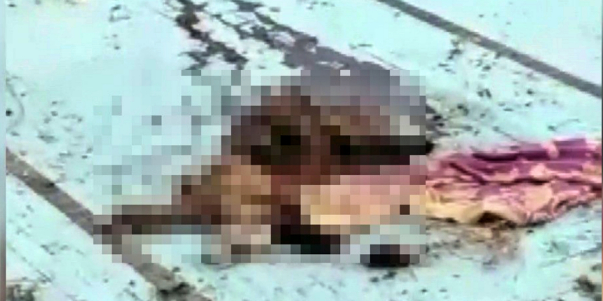 Adana'da vahşet! Köpeği bıçaklayarak öldürüp havuza attılar!