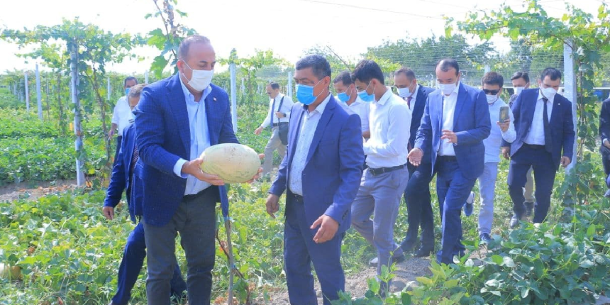 Bakan Çavuşoğlu tarladan kavun ve karpuz topladı