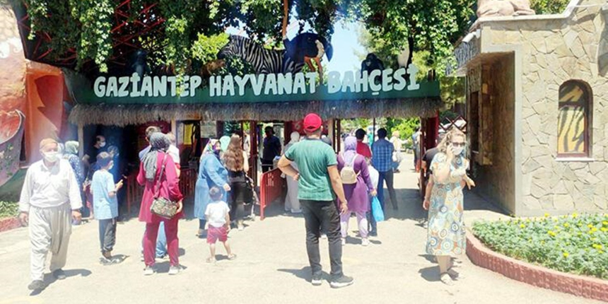 Gaziantep Hayvanat Bahçesi'nde aslan kafesinden kaçtı!