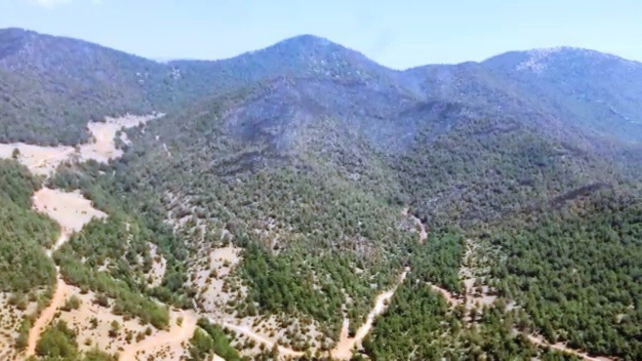 Hatay’daki orman yangını üçüncü gün kontrol altında