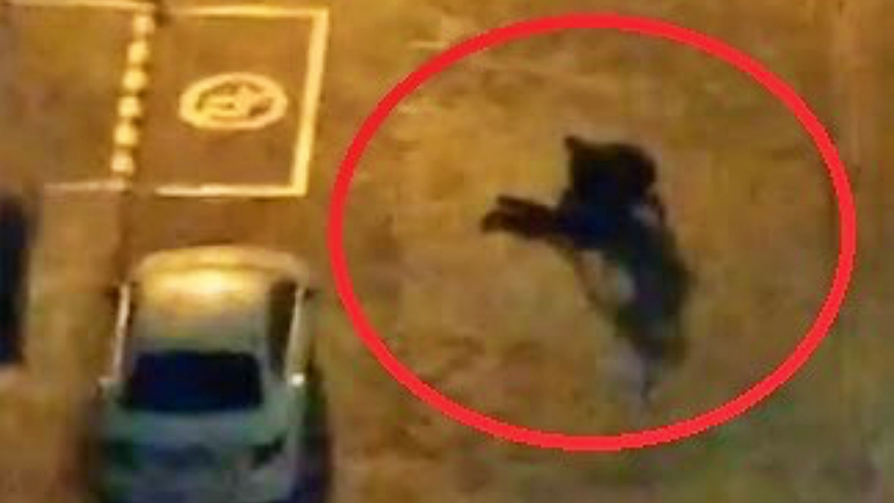 Bıçaklanma ihbarı yapıp, gelen sağlık ekibini bıçaklamaya çalıştılar!