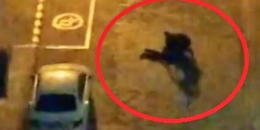 Bıçaklanma ihbarı yapıp, gelen sağlık ekibini bıçaklamaya çalıştılar!