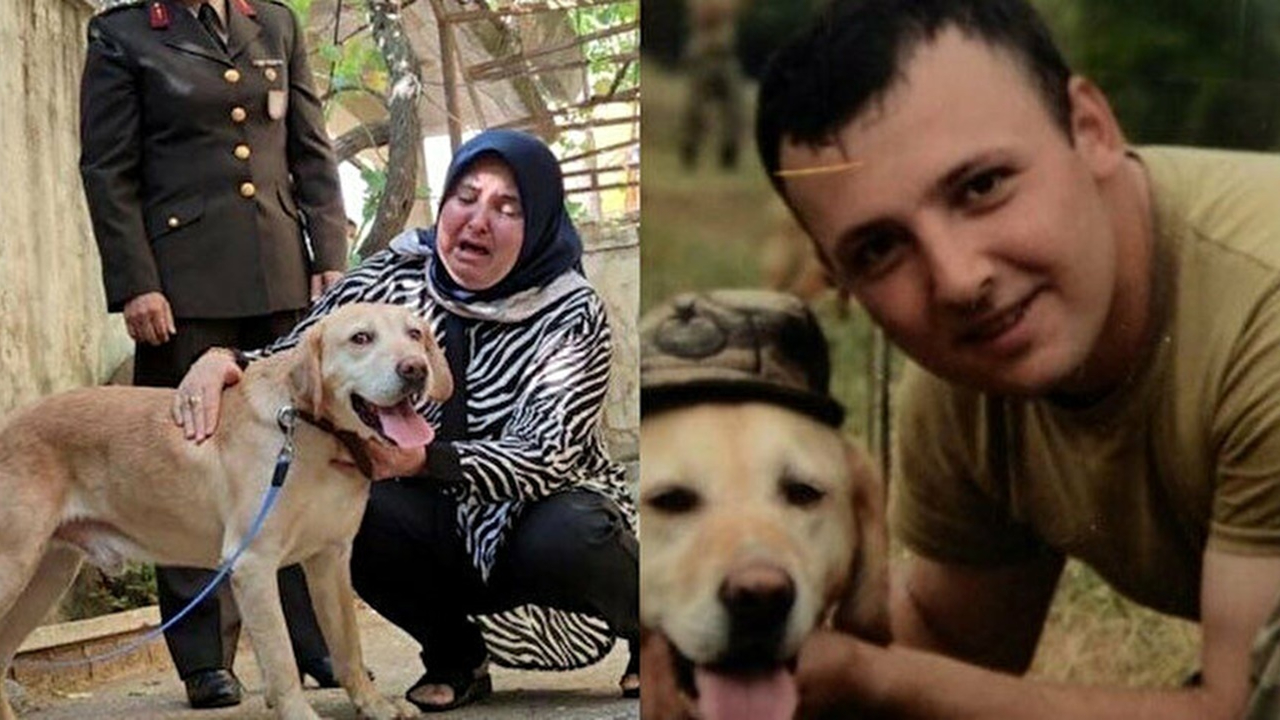 Şehit onbaşının emaneti ailesine teslim edildi