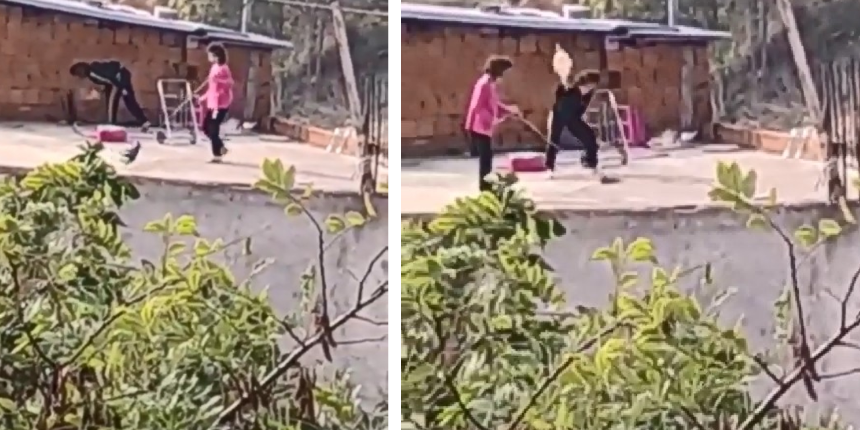 Kediye işkence kamerada! Boğazındaki iple çatıdan sarkıttılar, süpürge ile öldüresiye vurdular
