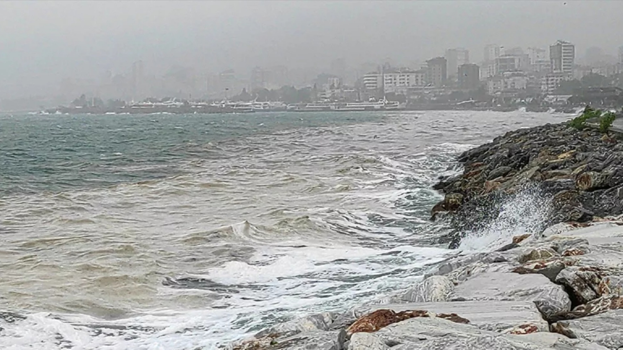 Marmara’da alarm! Kuşların rengi bile değişti