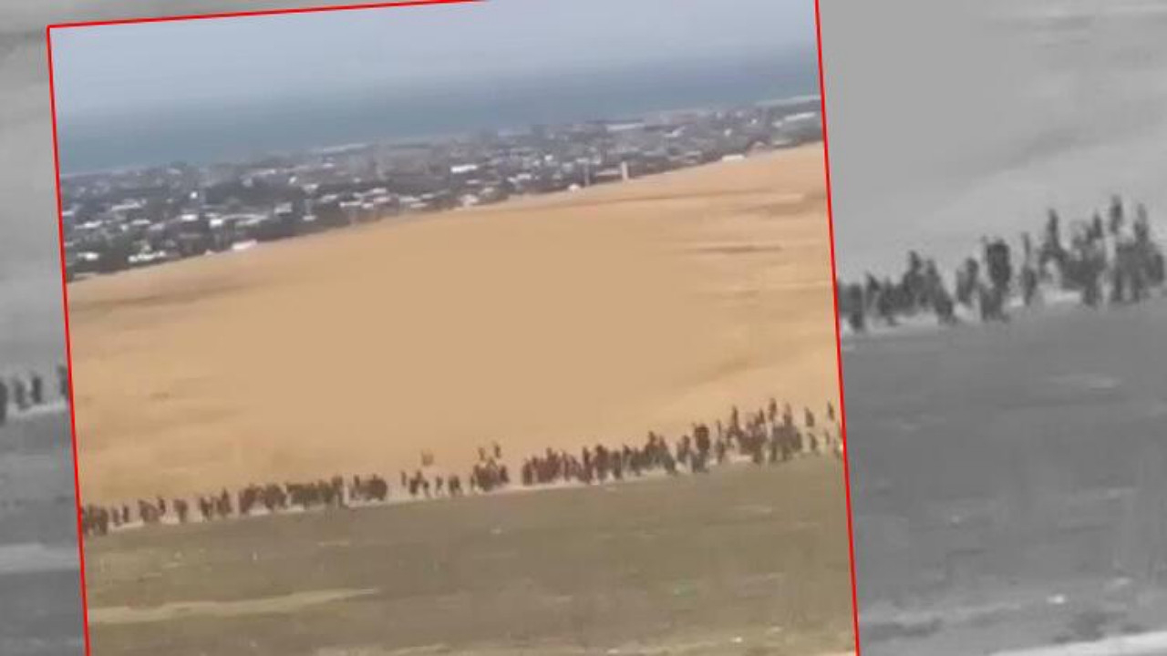 Sosyal medyada gündem olmuştu! Van Valiliği'nden 'düzensiz göçmen' açıklaması!