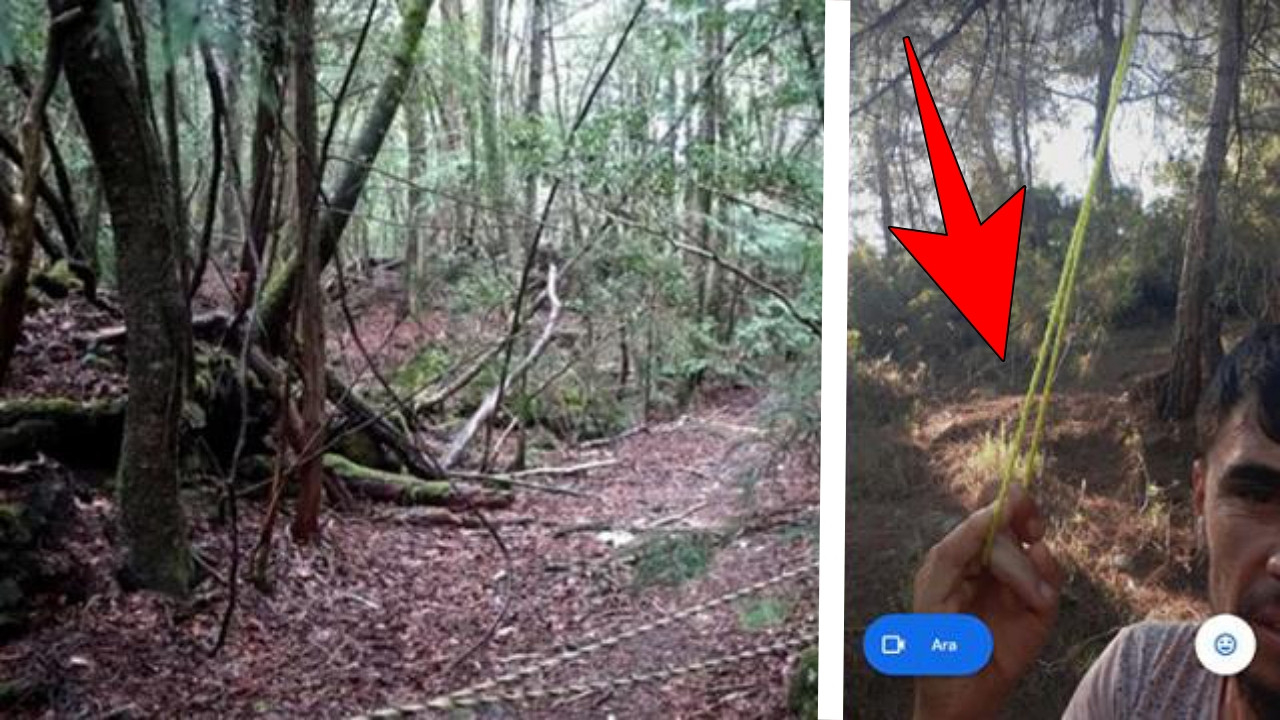Kendini asacağı iple selfie çekip kayınvalidesine gönderdi, ardından intihar etti!