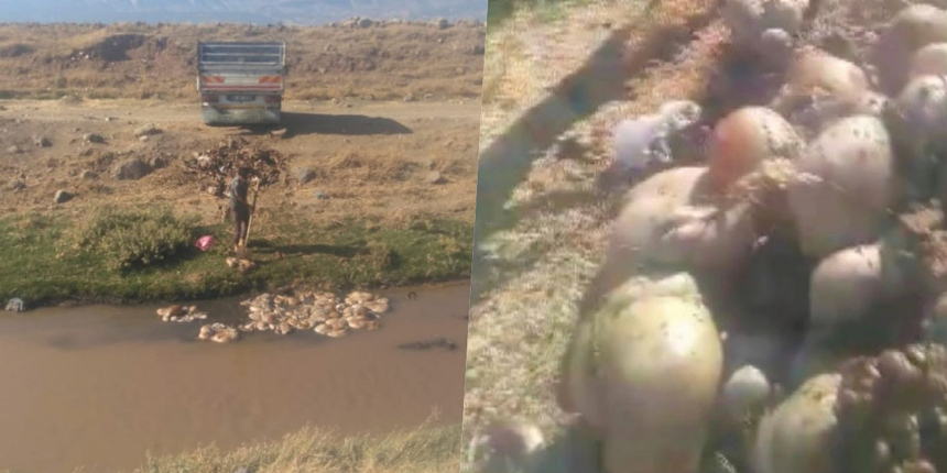 Kahramanmaraş’ta tepki çeken olay! Kurbanlık hayvanların atıklarını akarsuya attılar