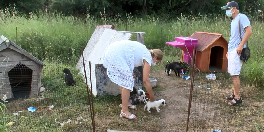 Bunu yapan insan olamaz! Yavru köpeği diri diri yaktılar