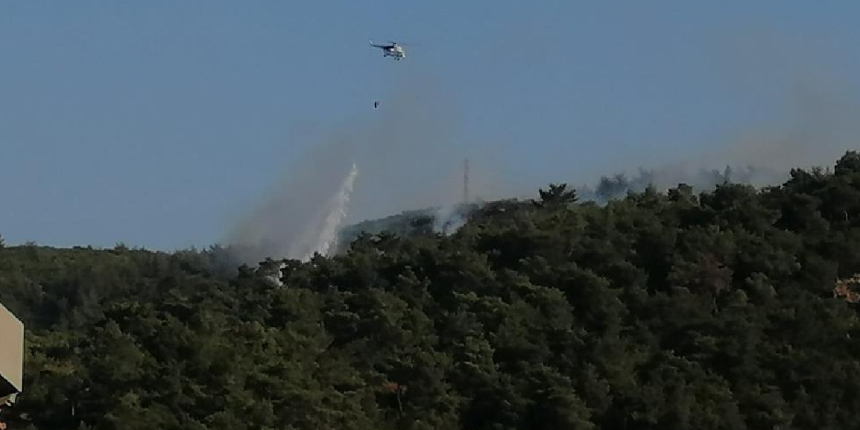 Soma'daki orman yangını kontrol altına alındı