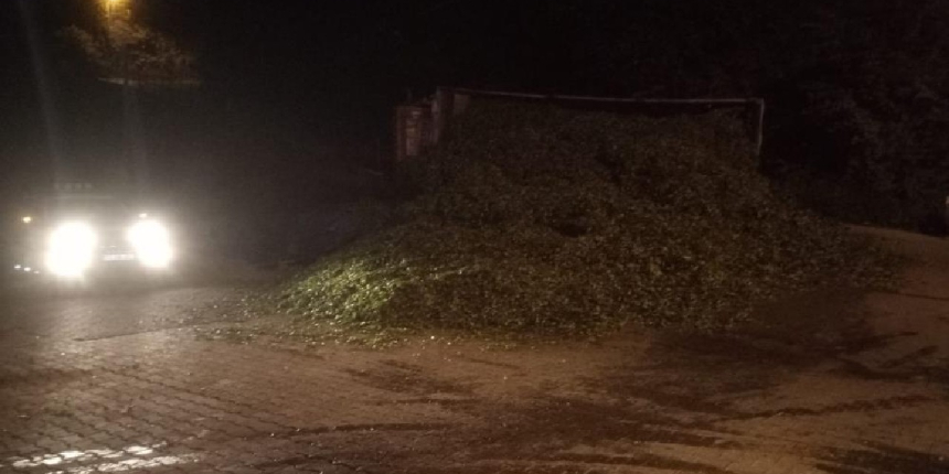 Çay yüklü kamyon devrildi, tonlarca çay yola döküldü