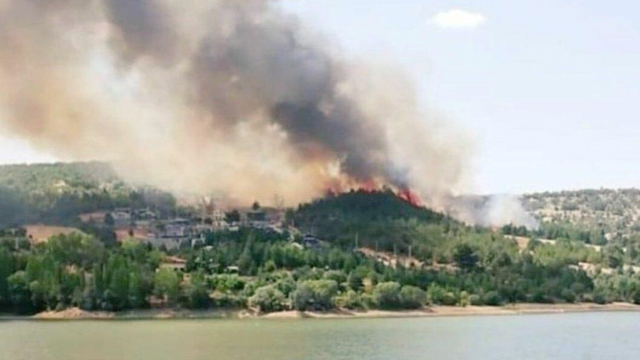 Bir orman yangını da Uşak'ta çıktı: Alevler 2 eve sıçradı