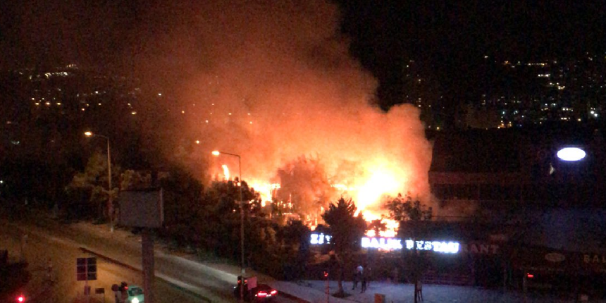 İstanbul'da korkutan yangın! İş yerinde çıktı ormanlık alana sıçradı