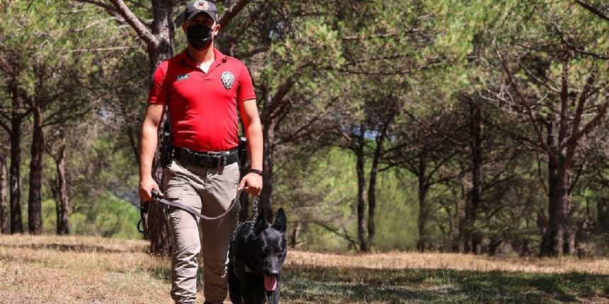 Ormanlara giriş yasaklandı! Tedbirler art arda geldi