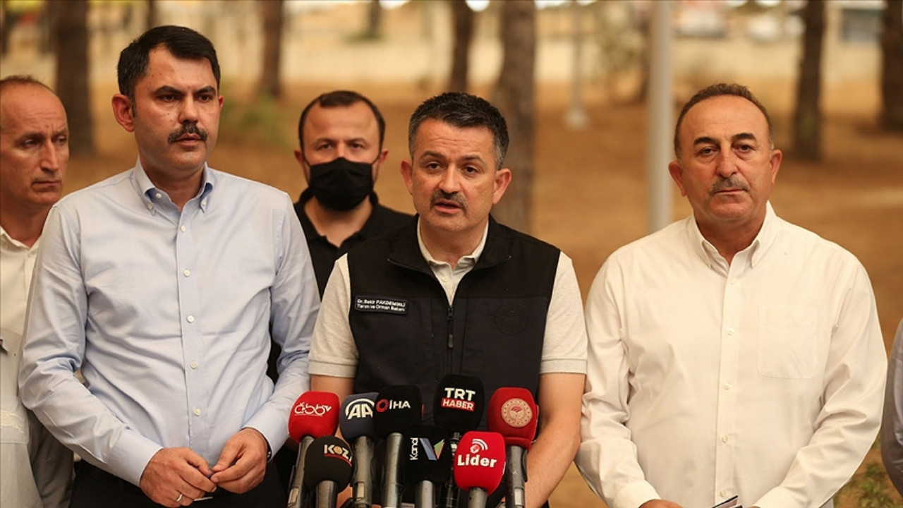 Bakan duyurdu: Milas, Bodrum ve Yahyalı ilçelerindeki ve Kahramanmaraş ve Adana'daki yangınlar kontrol altına alındı