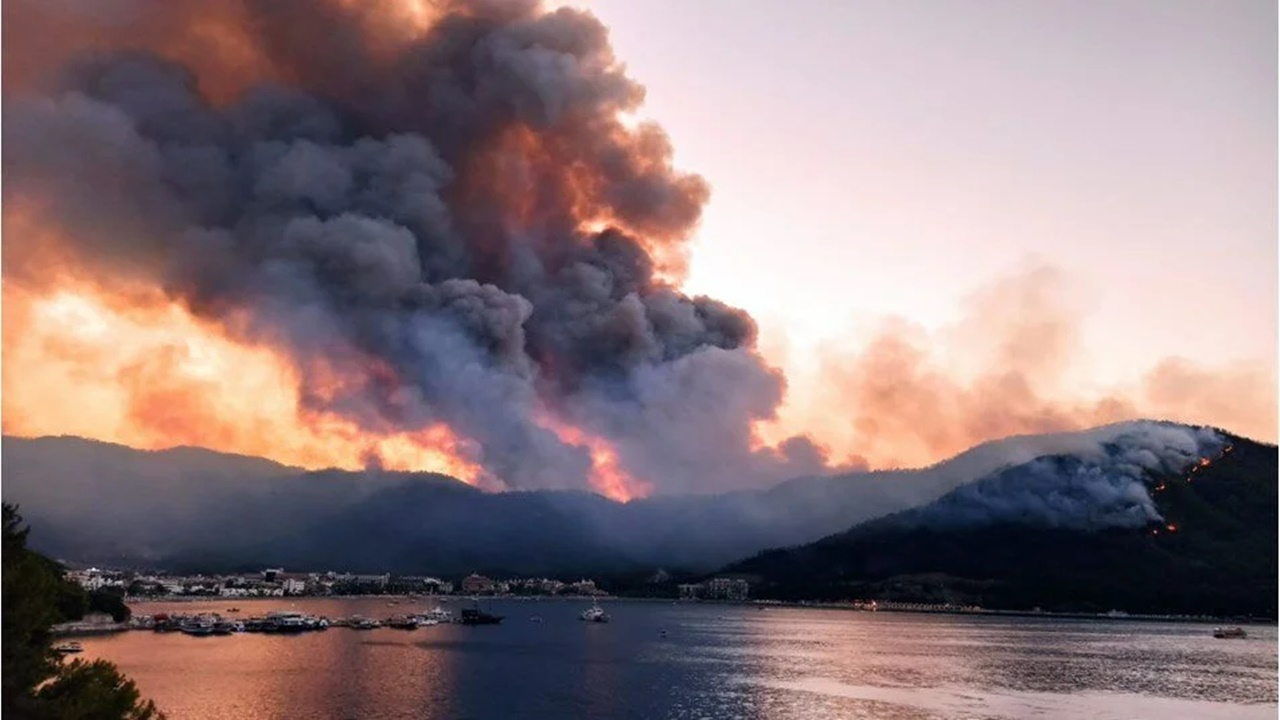 Fethiye Belediye Başkanı'ndan flaş çağrı! Tüm halkı ormanlık alana davet etti!