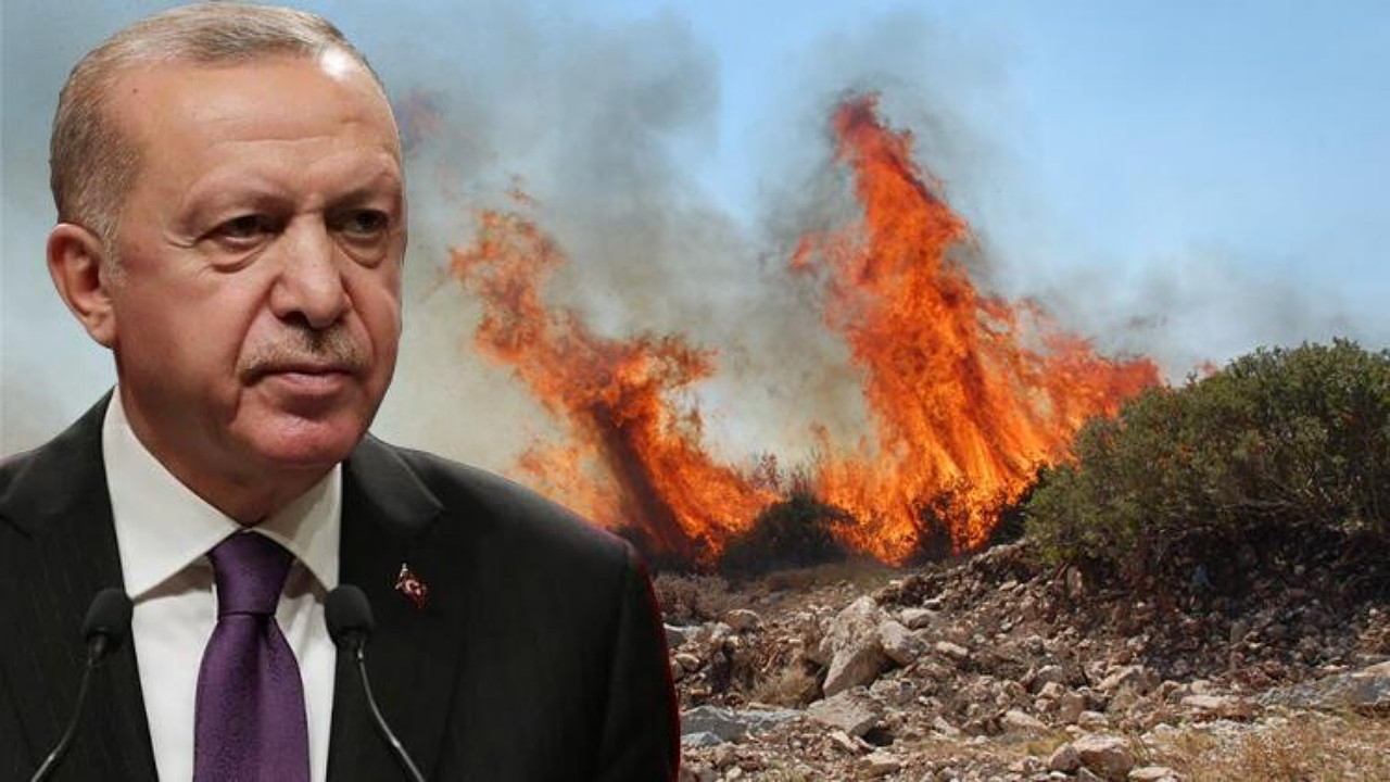Cumhurbaşkanı Erdoğan duyurdu: Yangın yerleri Afet Bölgesi ilan edildi!
