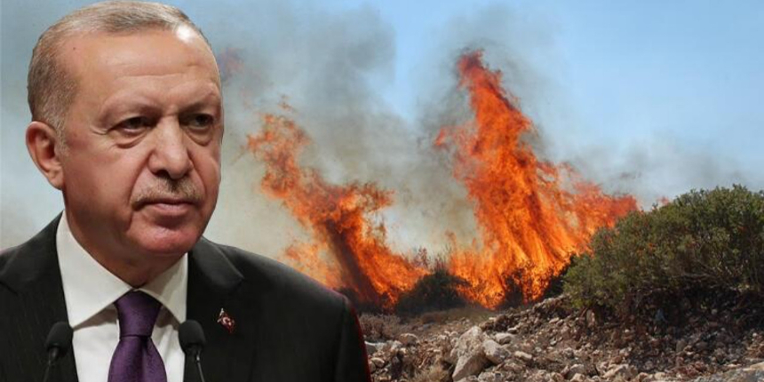 Cumhurbaşkanı Erdoğan duyurdu: Yangın yerleri Afet Bölgesi ilan edildi!