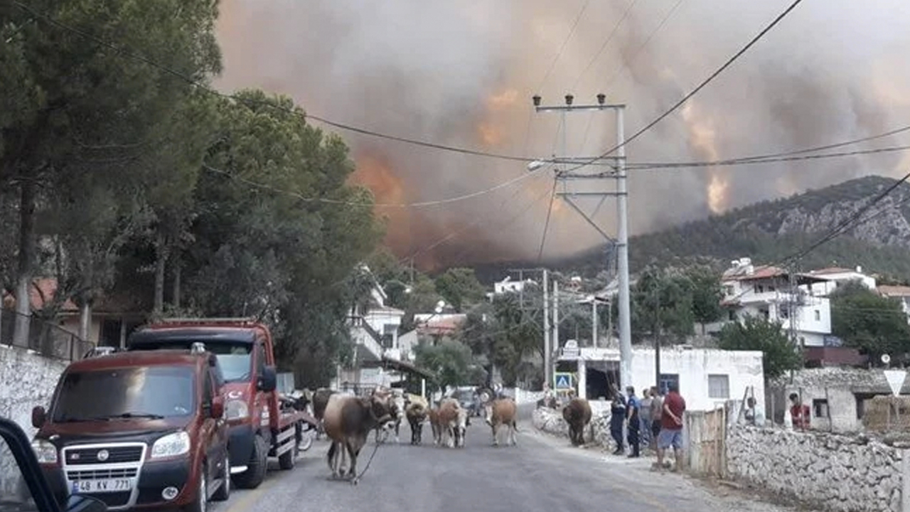 Manavgat'tan acı haber geldi: Can kaybı artıyor