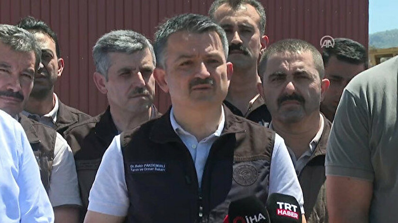 Bakan Pakdemirli: 132 yangından 125'ini kontrol atına aldık