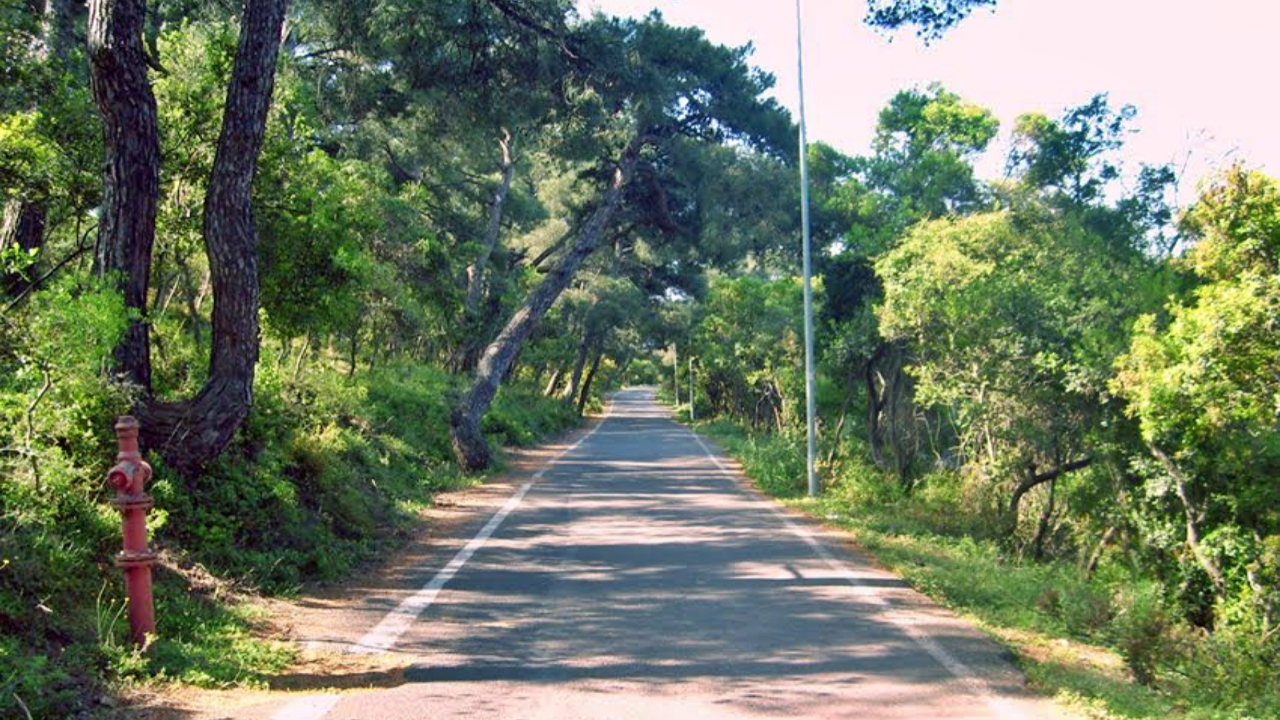 Büyükada'da gizemli sabotaj şüphesi: Benzin bidonu dikkat çekti!