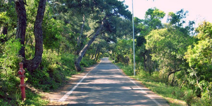 Büyükada'da gizemli sabotaj şüphesi: Benzin bidonu dikkat çekti!
