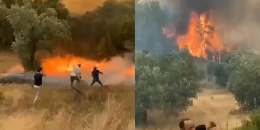 Patlayan kozalaklar saniyeler içinde yangını böyle büyüttü