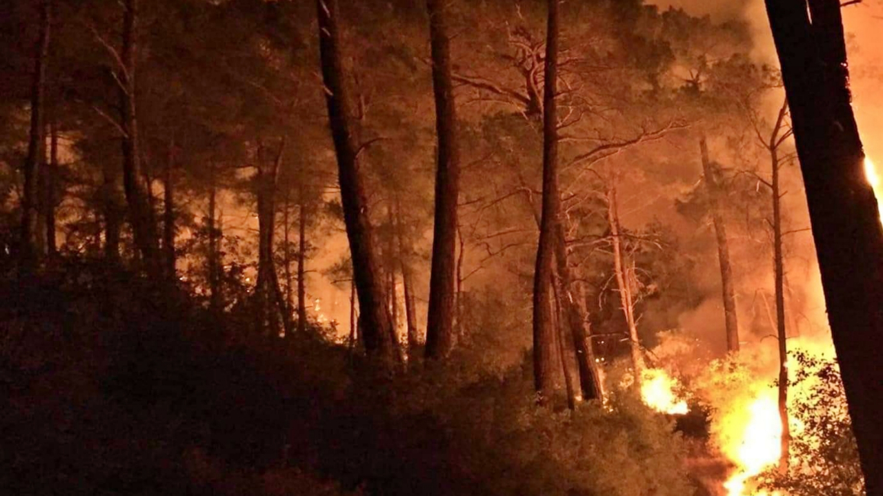 Muğla'nın Seydikemer ilçesinde 3 ayrı noktada orman yangını çıktı!