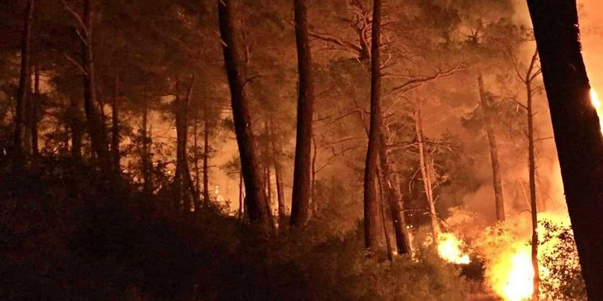 Muğla'nın Seydikemer ilçesinde 3 ayrı noktada orman yangını çıktı!