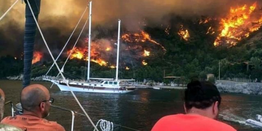 Çökertme Koyu'nu küle çeviren yangının sebebi belli oldu: Deli Mehmet rüzgarı!