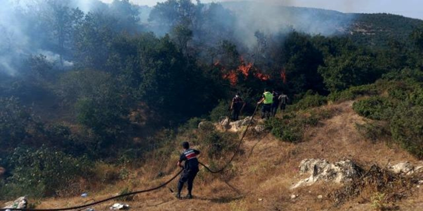 Orman yangınlarında ilginç detay: Kargalar başrolde!